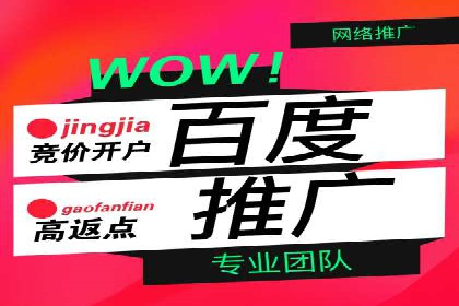 SEM代运营案例：行业领军企业实践